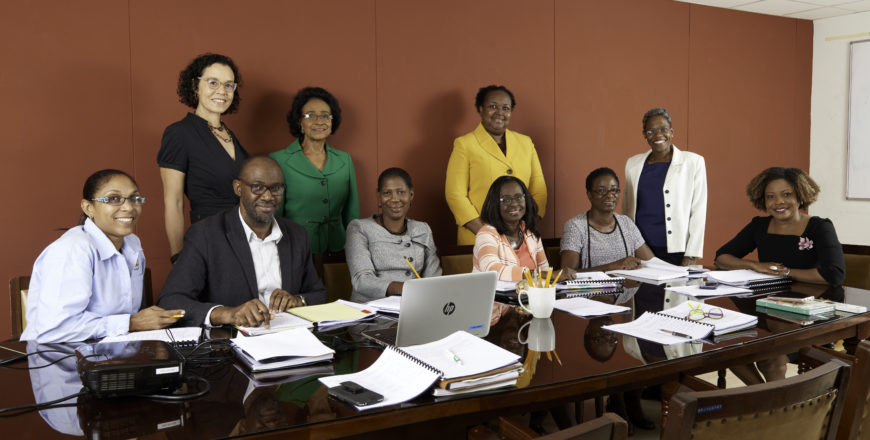 Seated (left to right): 
Dr. Trudy MacMillan Stewart-Gaynor; Mr. Ivan Cruickshank; Mrs. Violet Foster Russell; Miss Lovette Byfield (Executive Director); Miss Jennifer Williams (Board Secretary); Dr. Dana Morris Dixon.

Standing (left to right):
Dr. Diana Thorburn; Dr. Olivia McDonald; Dr. Grace McLean; Miss Dianne Thomas (NFPB Director- Communications and Public Relations)